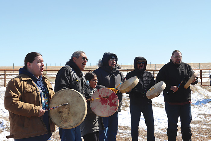 The drumming group sing a welcome song to the bison.